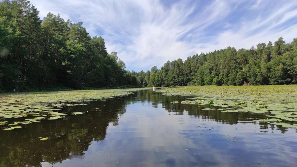 Экологическая база ННГУ