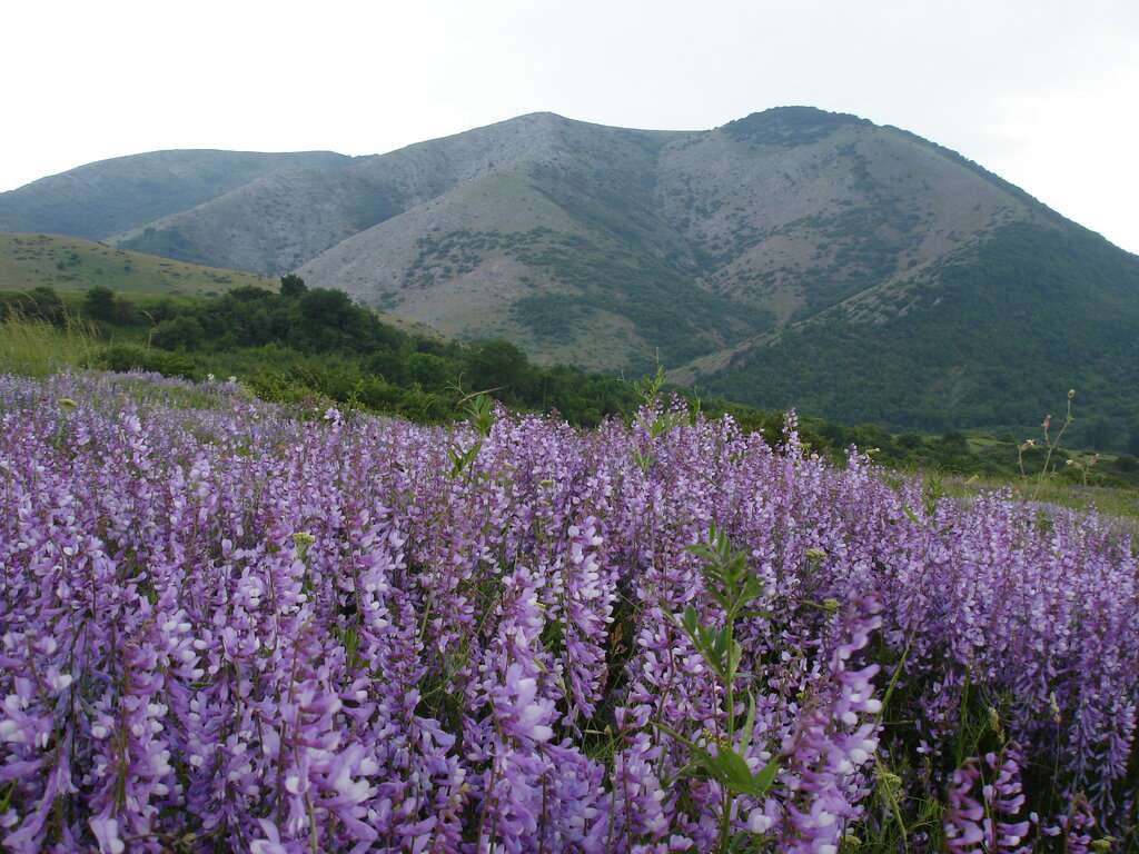Национальный Парк Крымский