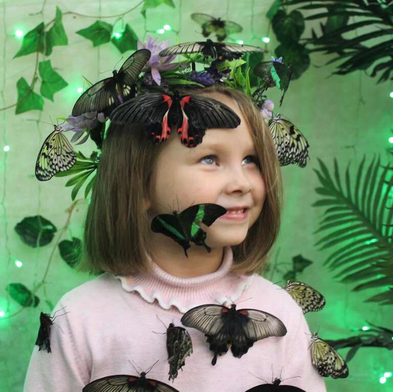 Выставка живых бабочек