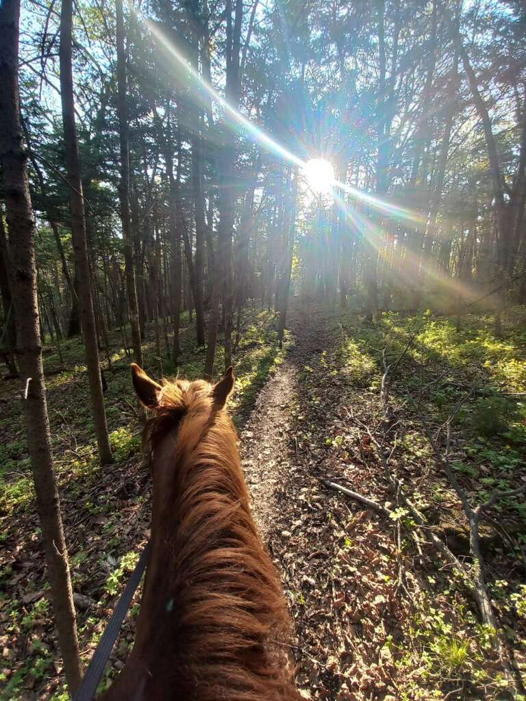 Кавалькада