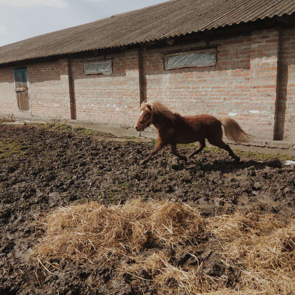 Остапенко