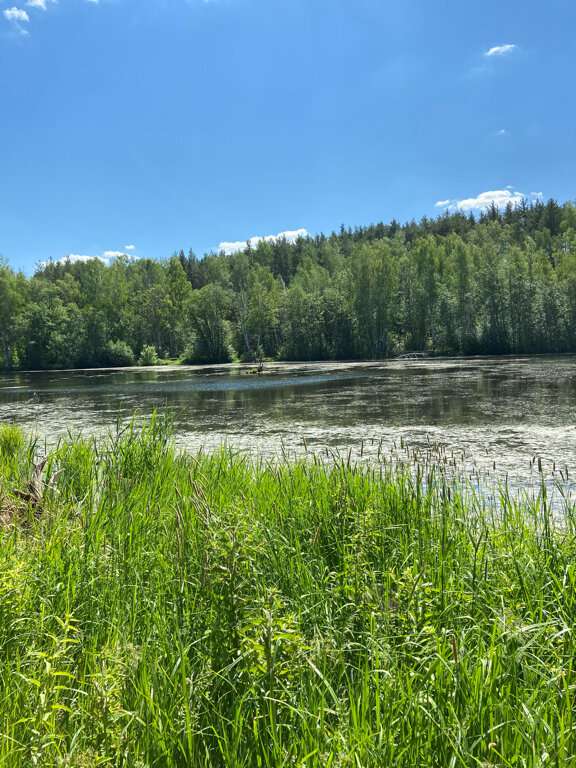 Мистер Фишер