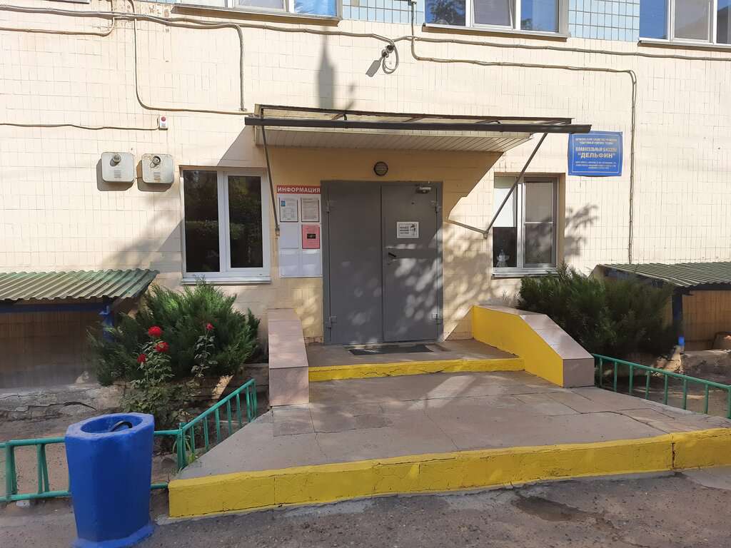 Дельфин