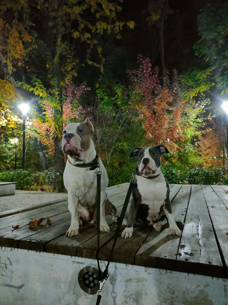 Осенний парк