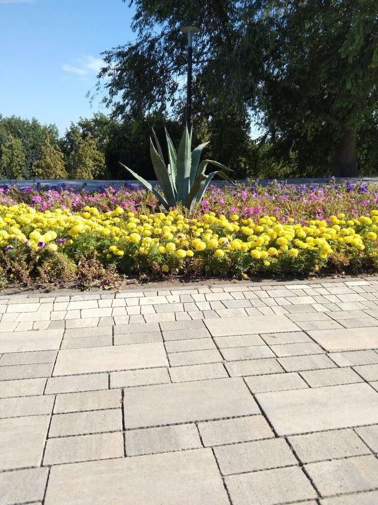 парк Дружбы народов