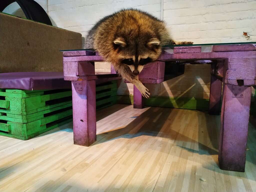 Енотокафе