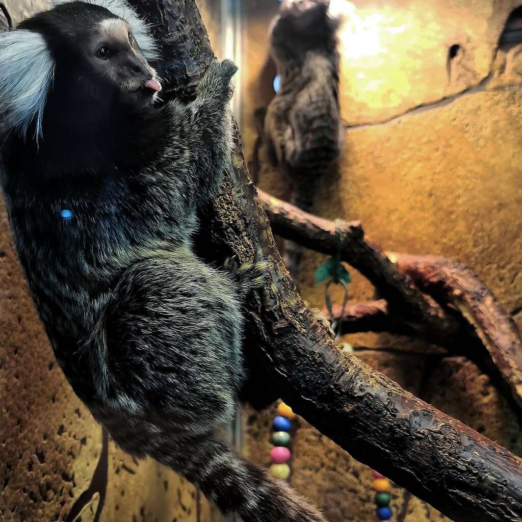 Нижегородский экзотариум