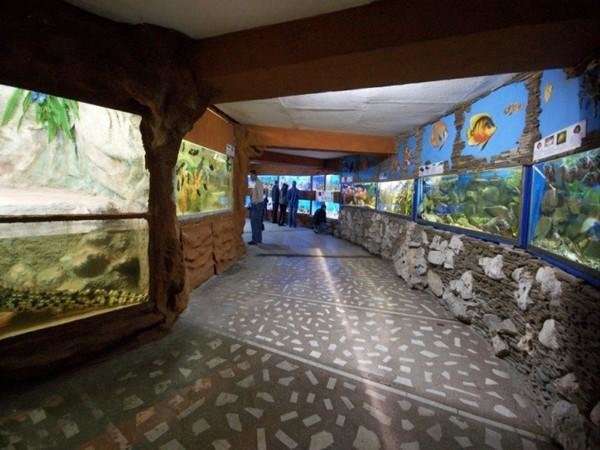 Алуштинский аквариум