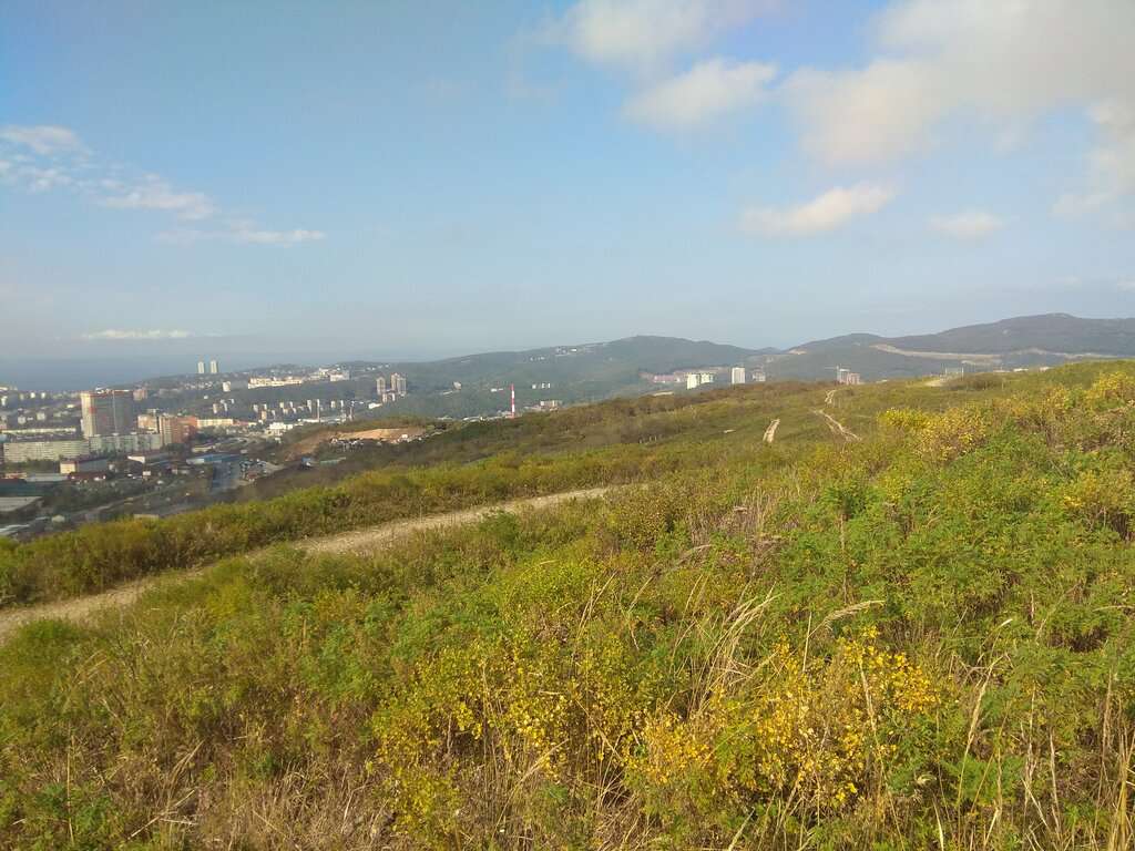Смотровая площадка