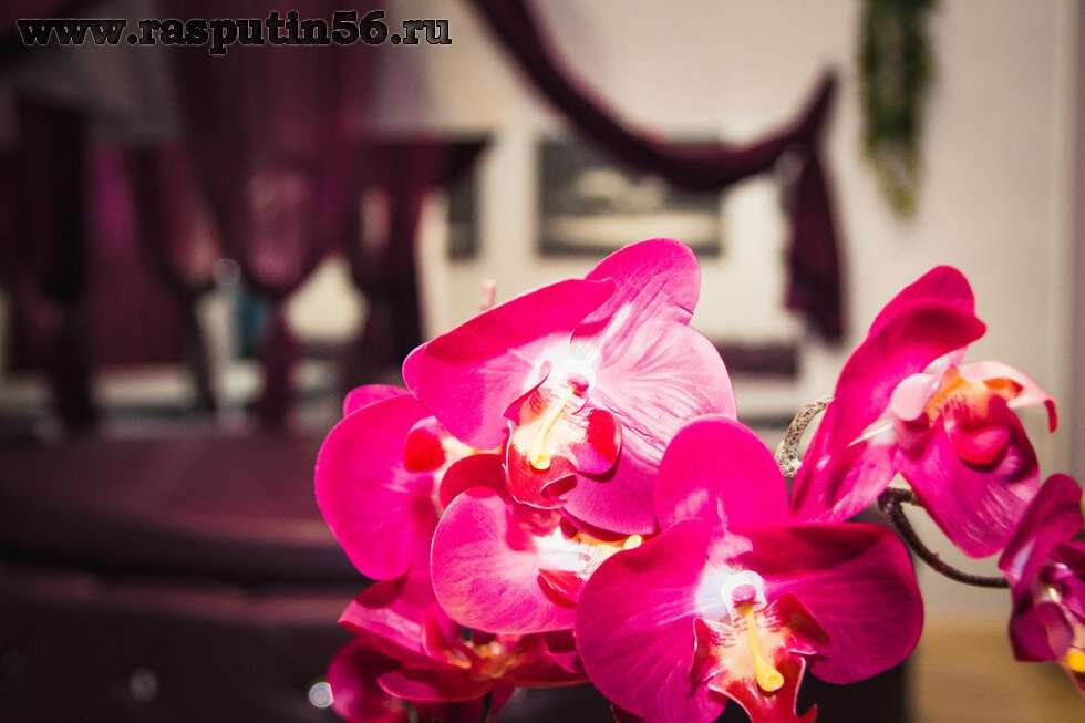 Спа-клуб Распутин