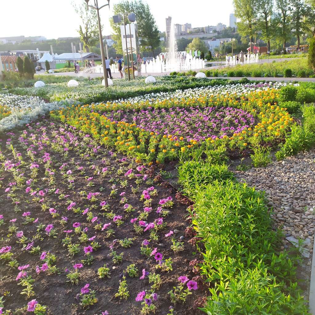 Левобережный