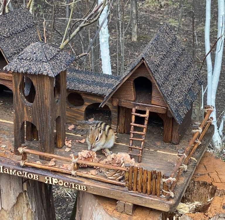 Новосибирский зоопарк имени Р.А. Шило