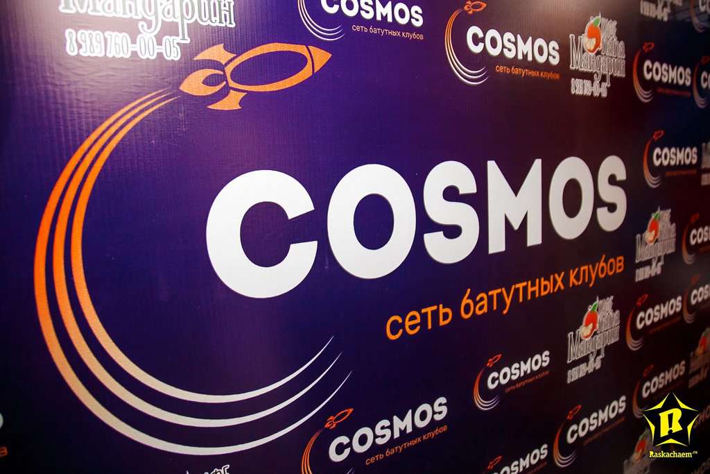 Cosmos