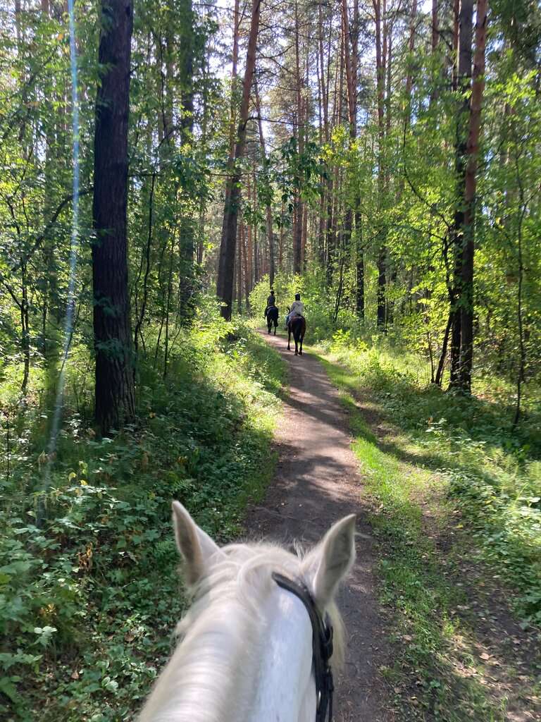 Фаворит НСК
