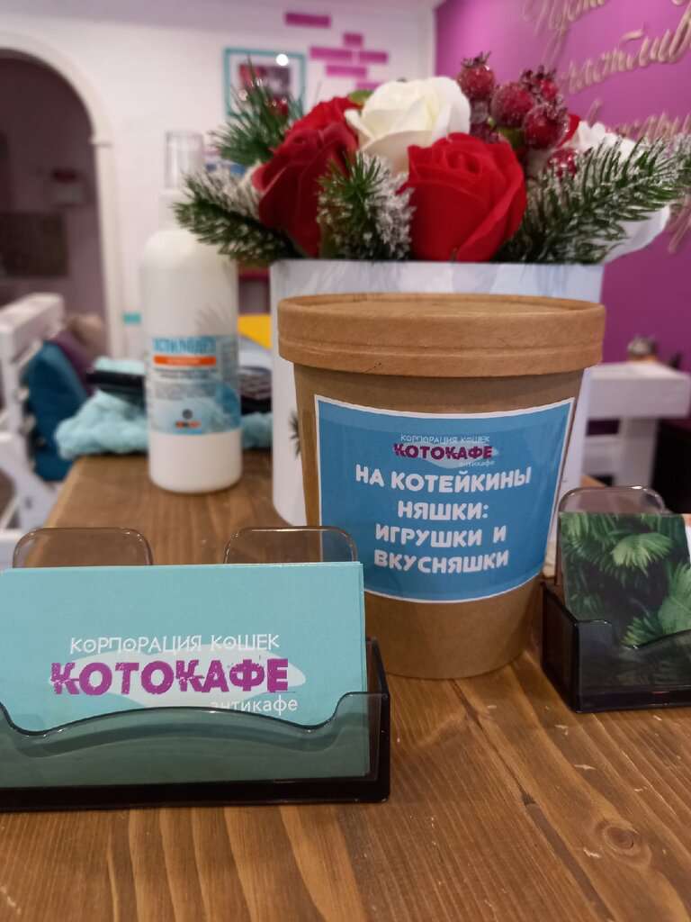 Котокафе Корпорация кошек