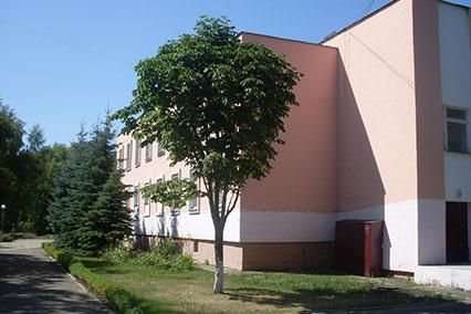 Детский реабилитационно-оздоровительный центр Кристалл