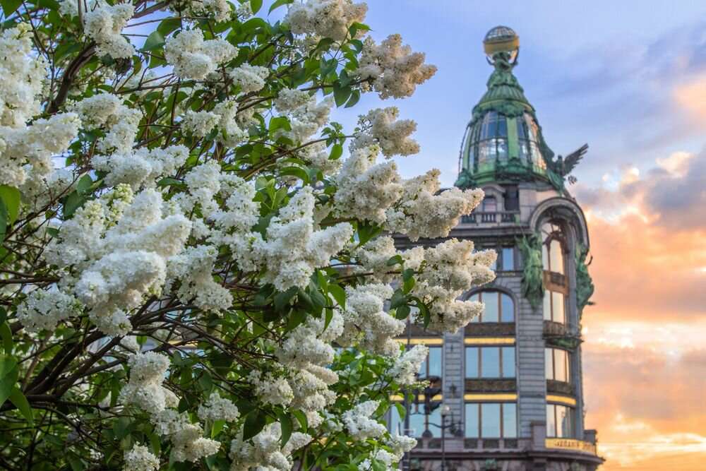 Дом компании Зингер