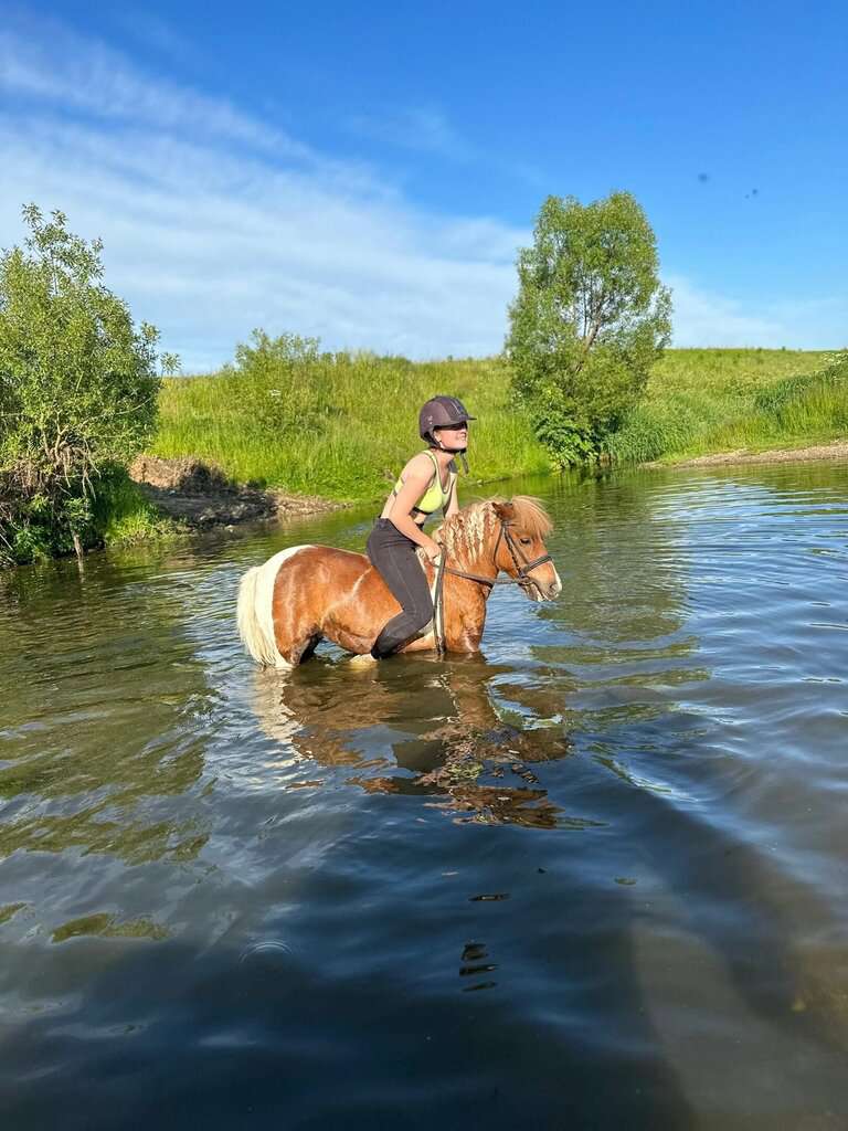 Конный двор