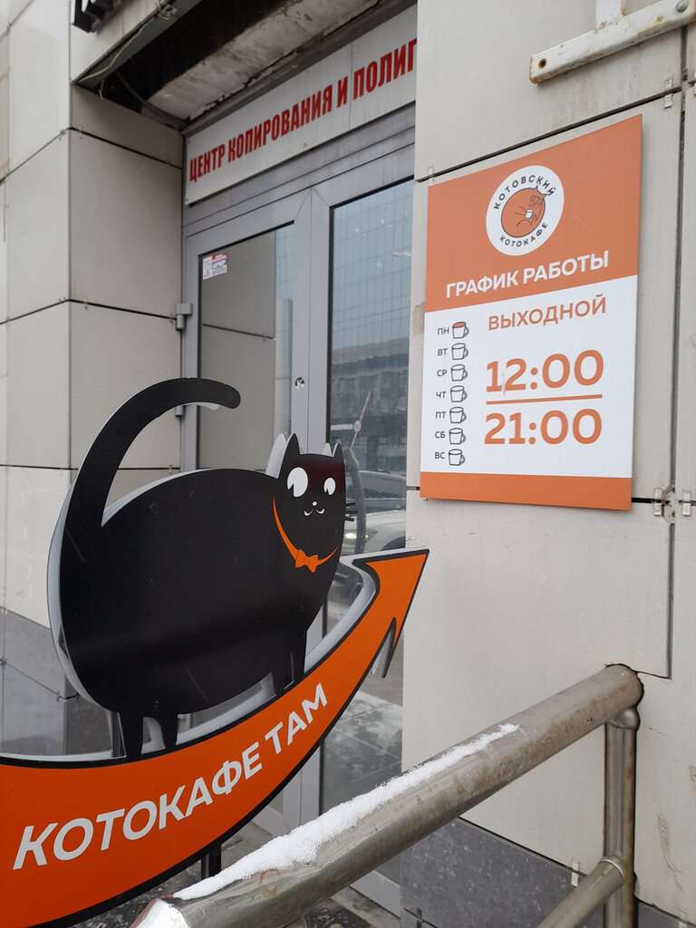 Котокафе Котовский