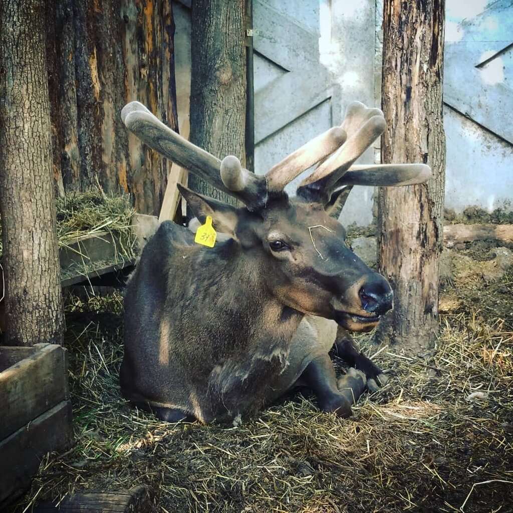 Зооуголок Ковчег