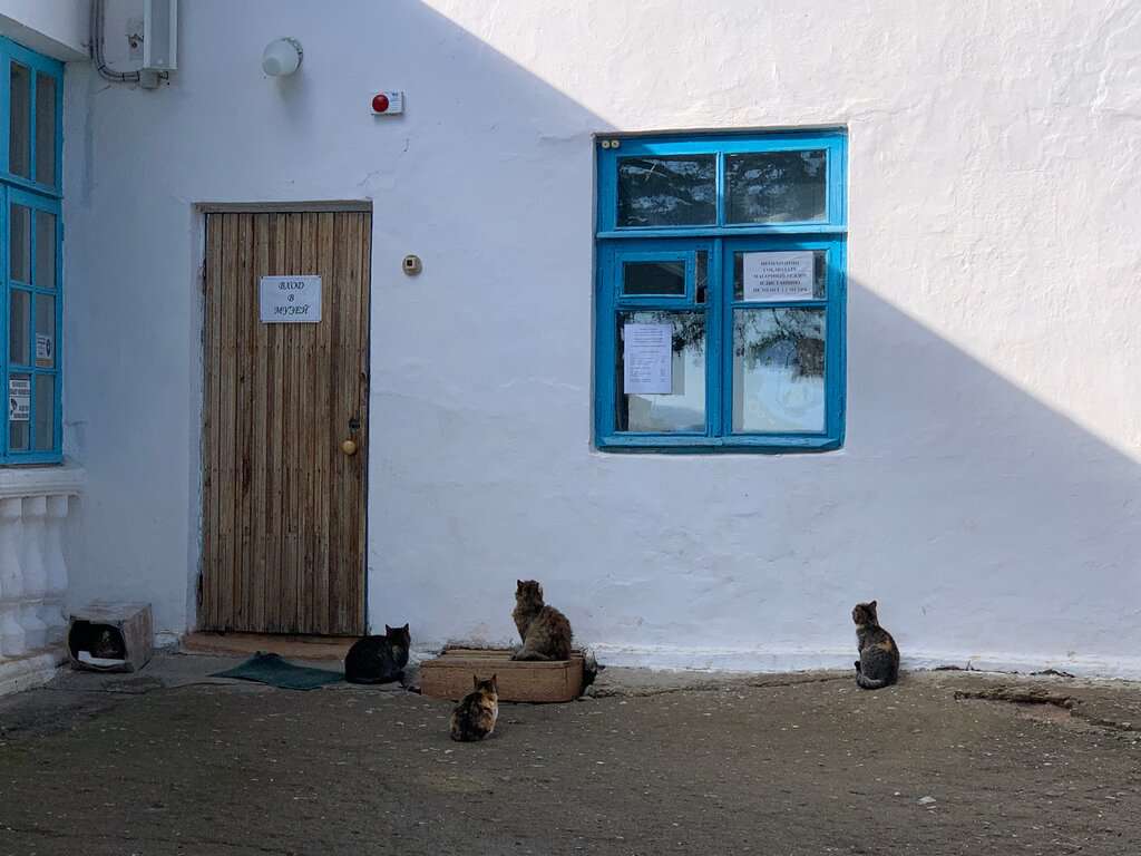 Литературный музей И. С. Шмелёва