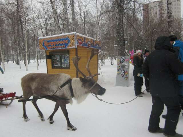 МУП ПКИО Березовая роща