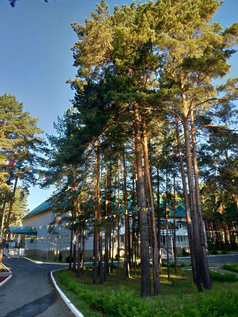 Центр восстановительной медицины и реабилитации Снежинка