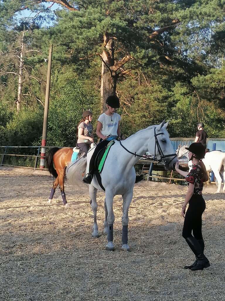 Зооцентр Надежда