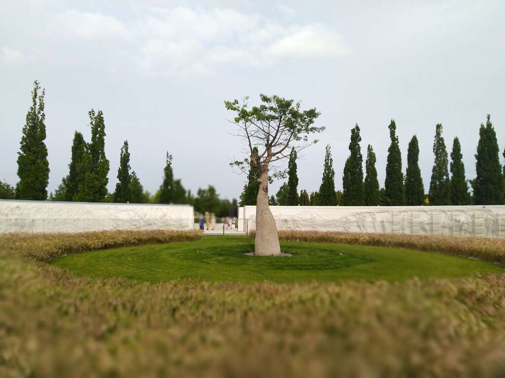 Смотровая площадка Пирамида