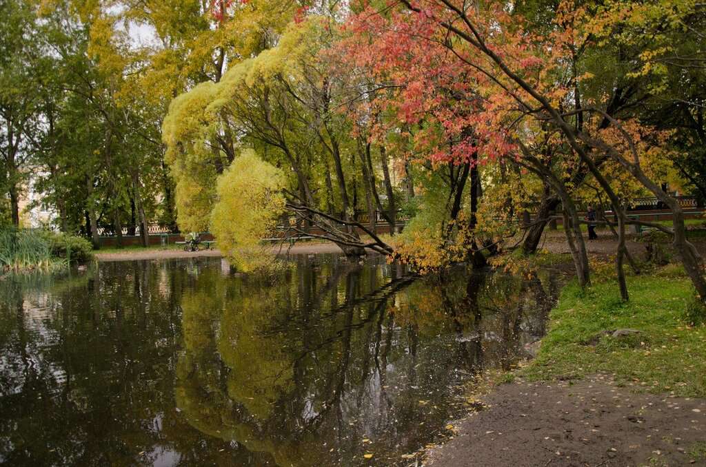 Дендрологический парк-выставка