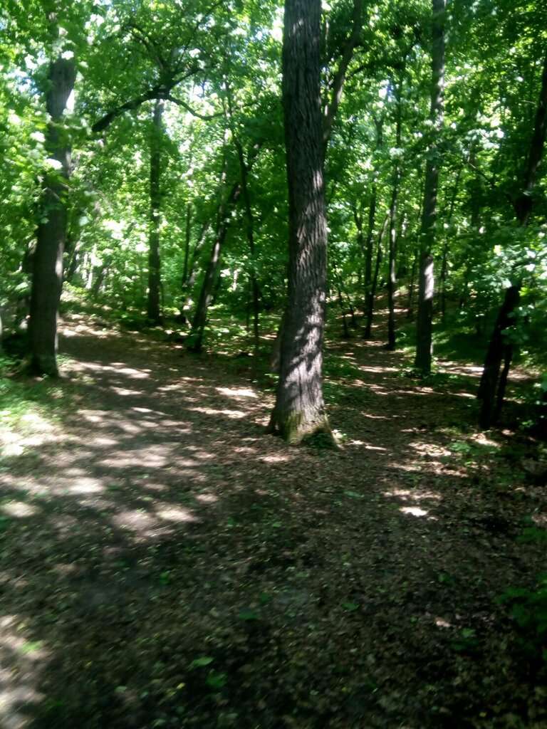 Парк культуры и отдыха