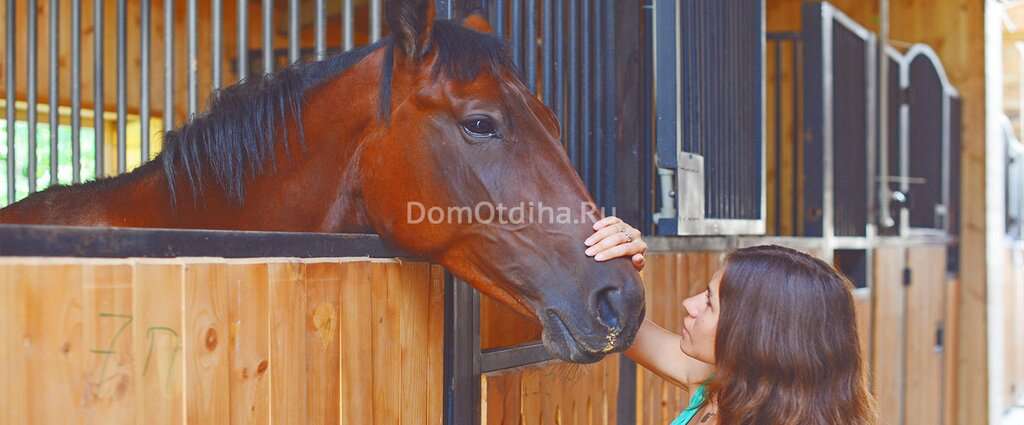 Ферма Владыкино