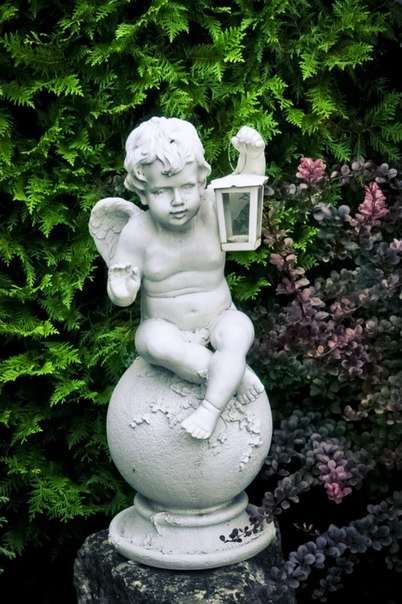 ТвГУ, Ботанический сад