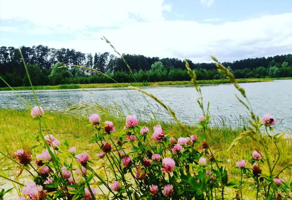 Пляж Лебяжье озеро