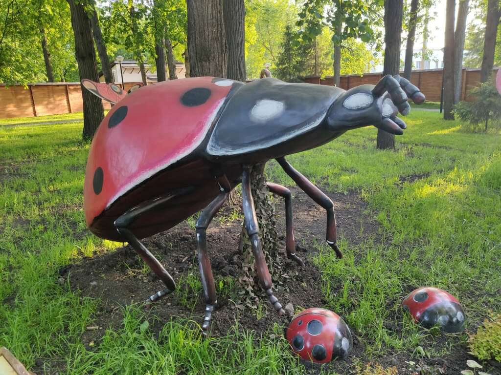 Beetle-House