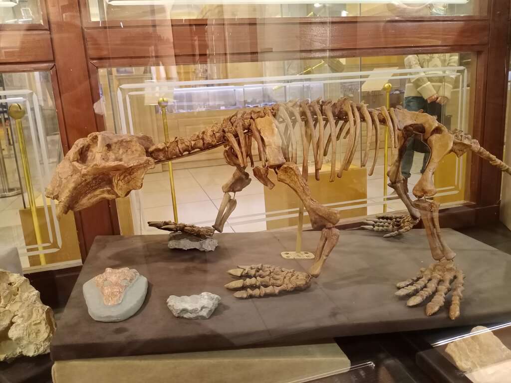 Исторический парк Россия - Моя история