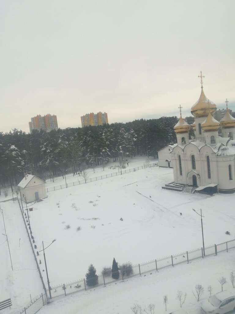 Церковь Александра Невского у Бобачевской рощи