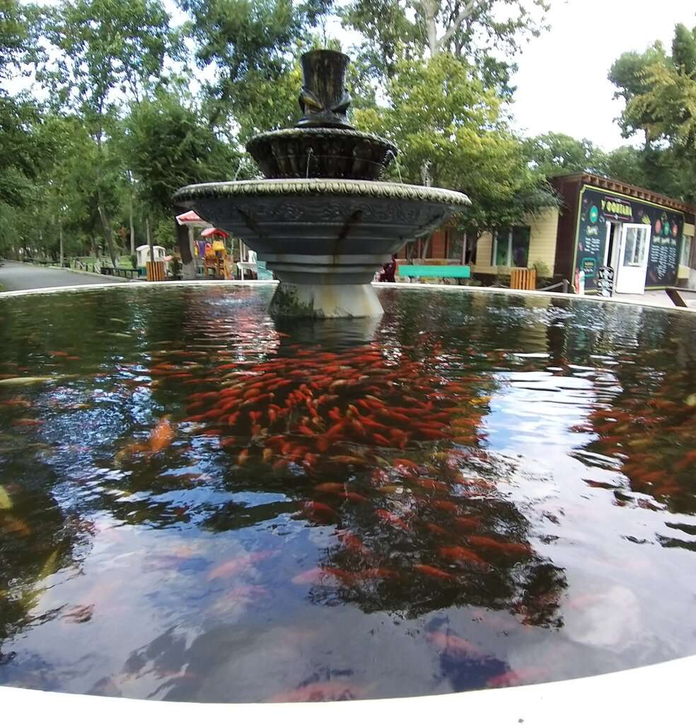 Парк культуры и отдыха имени Лазо