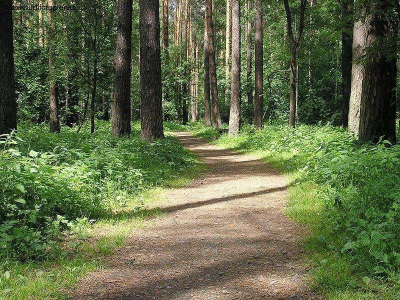 Парк Победы