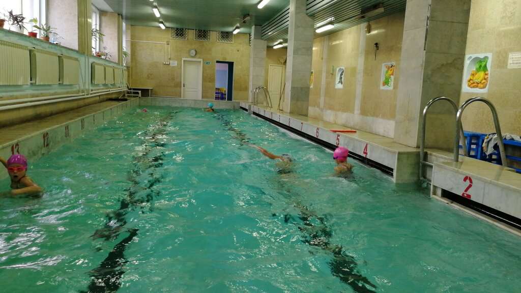 СибГАУ Дворец водного спорта