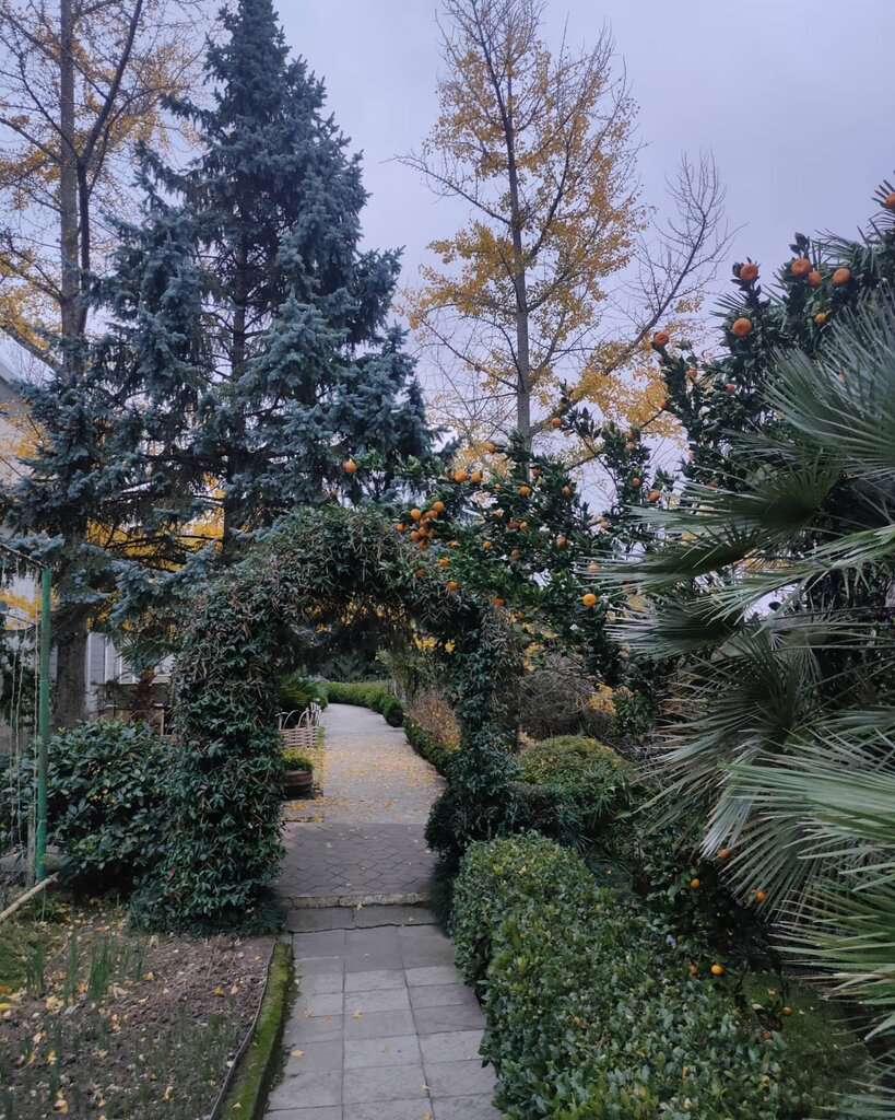 Сад-музей Дерево Дружбы