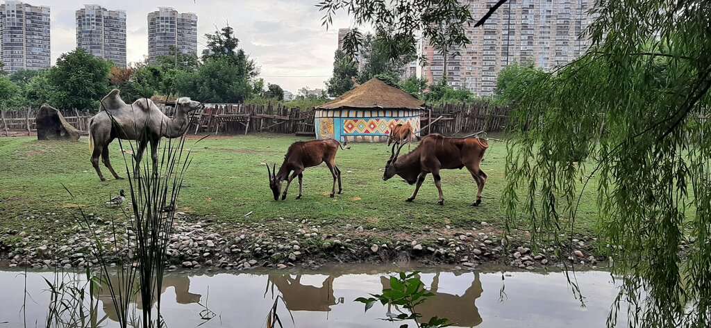 Сафари-Парк