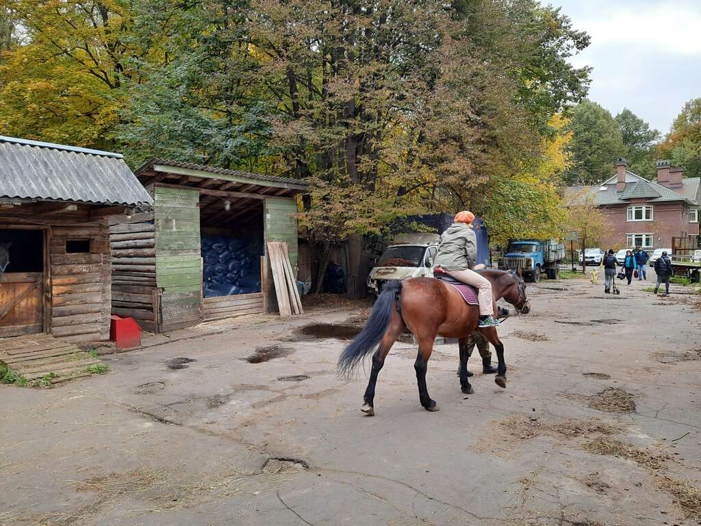 Конный двор Яуза