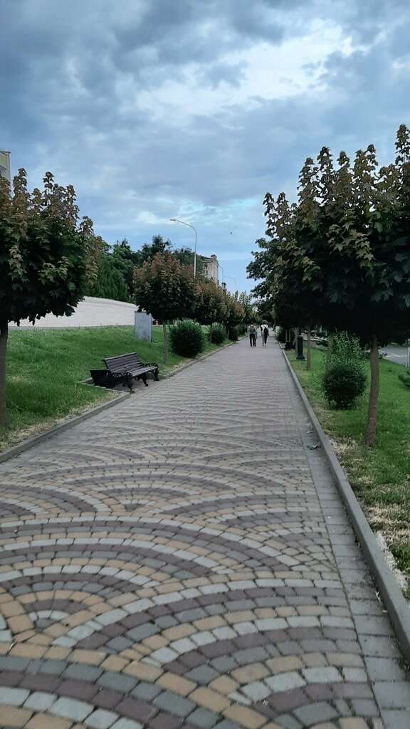 Смотровая площадка