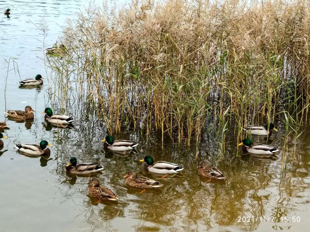 Парк Победы
