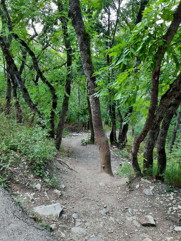 Ворота к месту дуэли М.Ю. Лермонтова