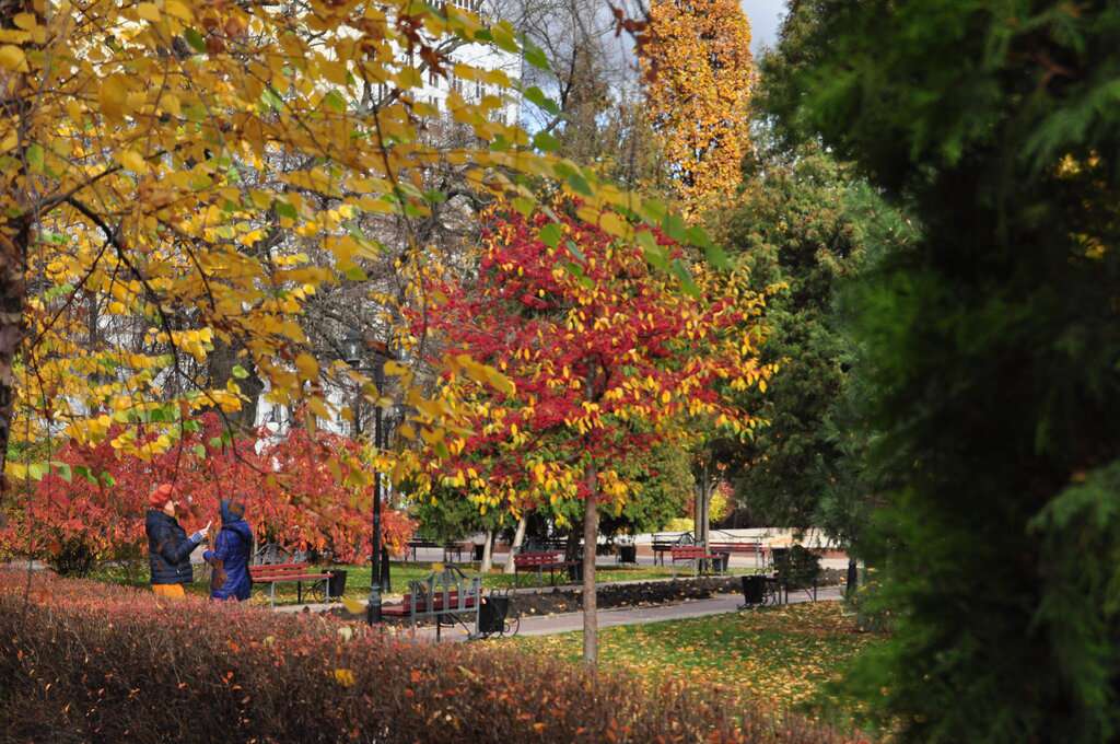 Кольцовский сквер