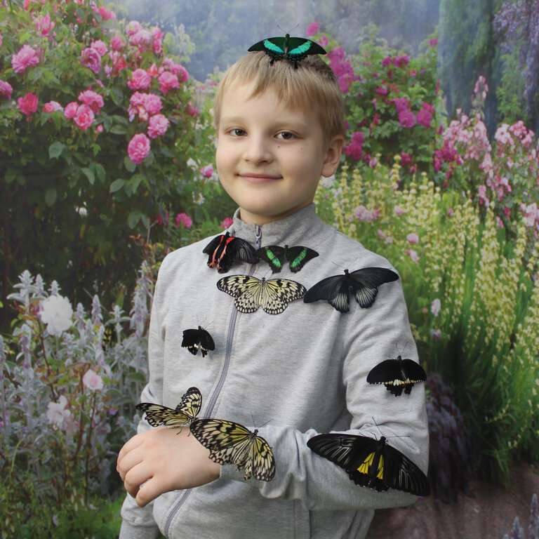 Выставка живых бабочек