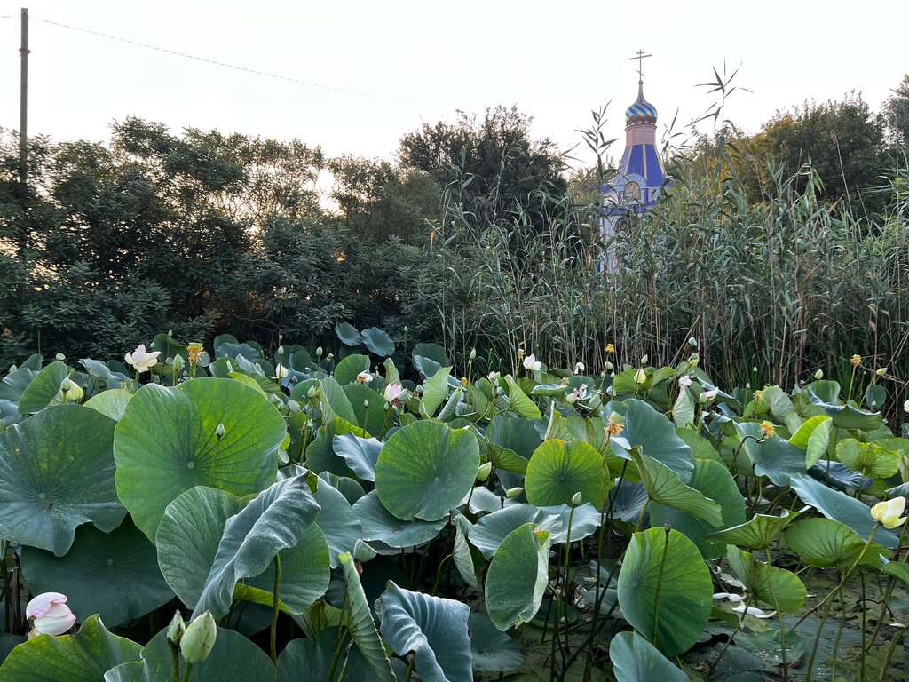 Смотровая площадка