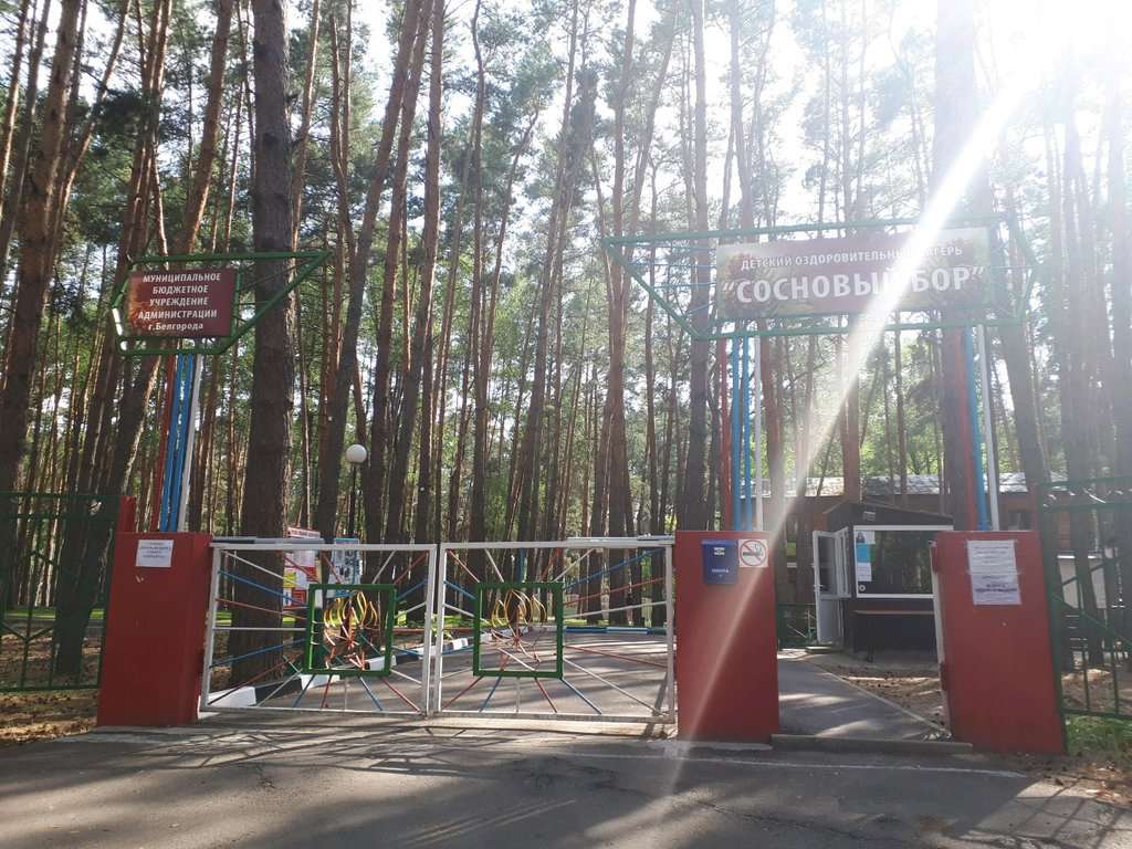 Сосновый бор